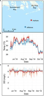 Divergent responses of the coral holobiont to deoxygenation and prior environmental stress